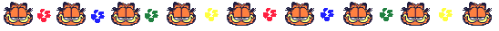 garfield banner